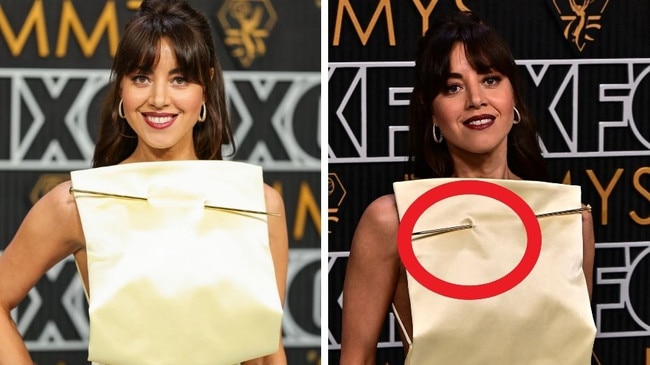 Aubrey Plaza chose an interesting accessory. Picture: