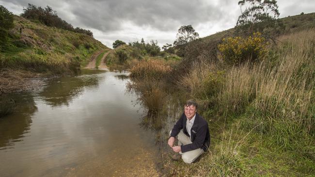 Robert Hall at Jacksons Creek. Picture: Rob Leeson