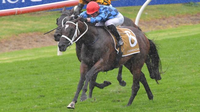 Funstar will jump from one of the widest gates in the famous Randwick mile.