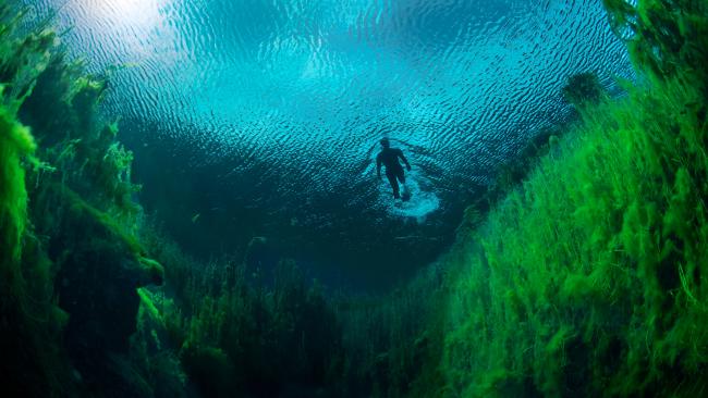 36/71Piccaninnie Ponds - South Australia
Dive under the surface of these otherworldly freshwater wetlands to experience the eerie, but unforgettable, Piccaninnie Ponds.