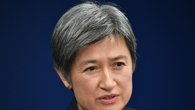 Labor Senator Penny Wong arranged the visit by Mr Gyngell. Picture: AAP Image/David Mariuz