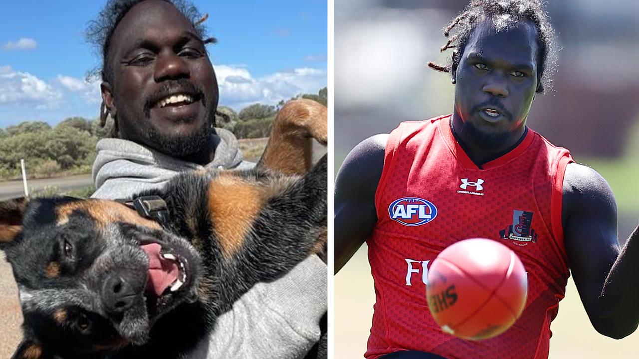 Anthony McDonald-Tipungwuti is back for the Bombers, and it was a trip with his dog Drover that convinced him to return.