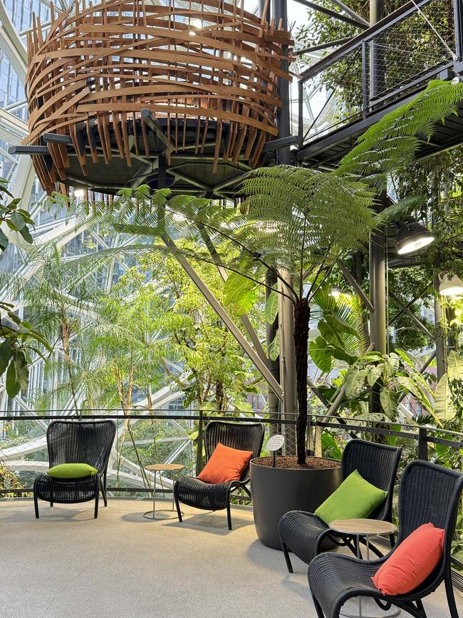 Inside The Spheres at Amazon's Seattle HQ which houses more than 40,000 plants.