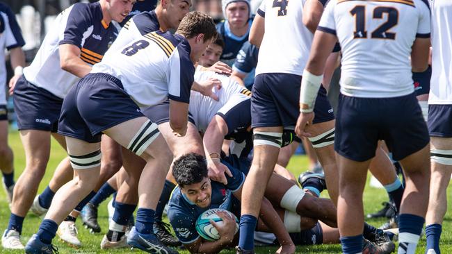 Action in the NSW Waratahs and ACT Brumbies game.