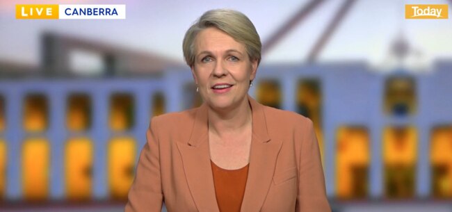 Tanya Plibersek urged Australian’s to keep their cats inside to stop them from killing native wildlife. Picture: Supplied.