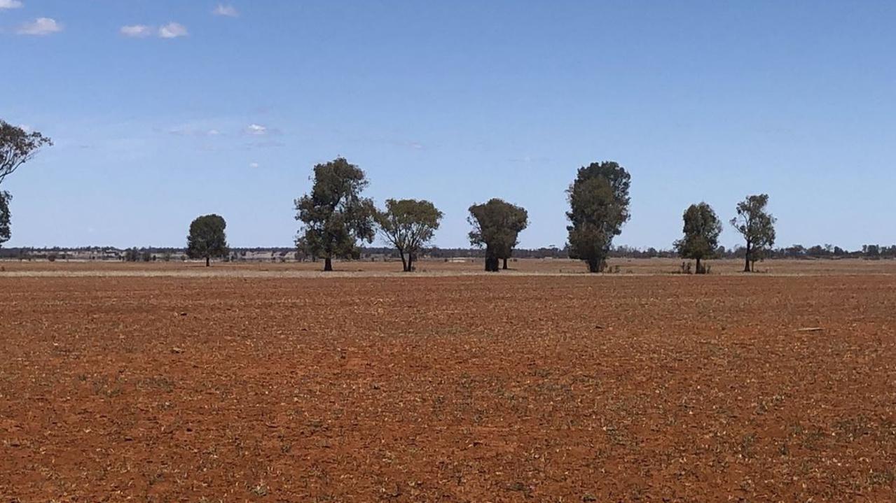 Hayes Creek in Moonie, a 7,000 acre property, is going up for auction on December 3. Picture: realestate.com.au