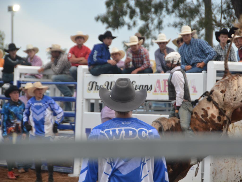 Melon Rodeo 2025