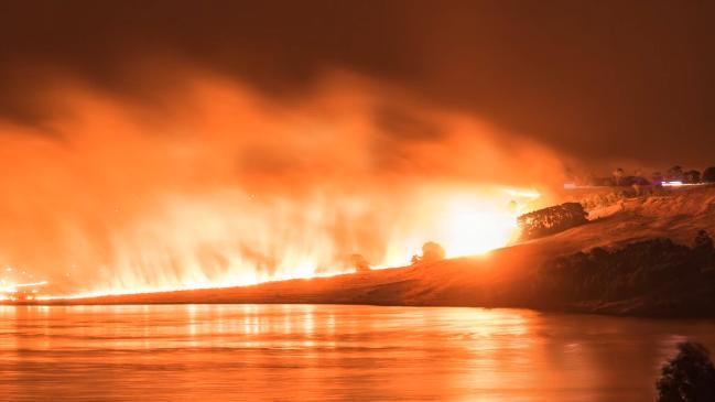 Images from the Camperdown bushfire