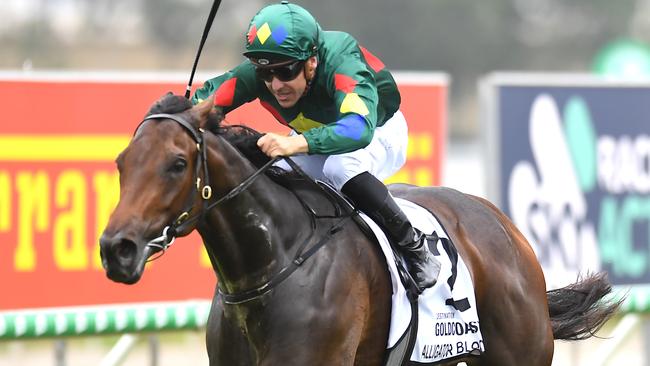 Alligator Blood is a popular pick for the All-Star Mile. Picture: AAP