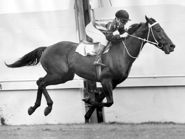 Billy Pyers rides Tulloch during S.J. Pullman Stakes race at Cheltenham in 1961.