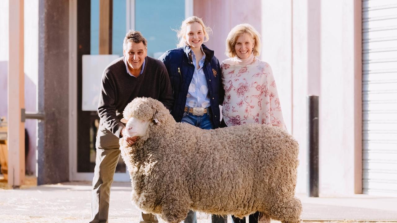 Merino rams fetch $26,000