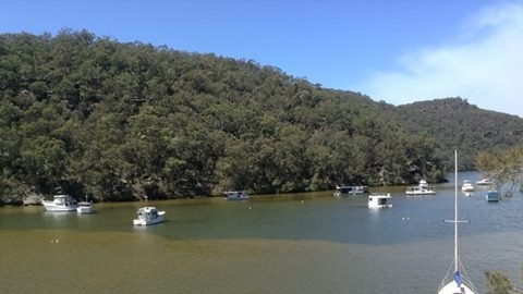 Generic picture of Berowra Creek. According to the Sydney Water website, treated sewage water is discharged into Calna Creek, Berowra Creek and Waitara Creek.