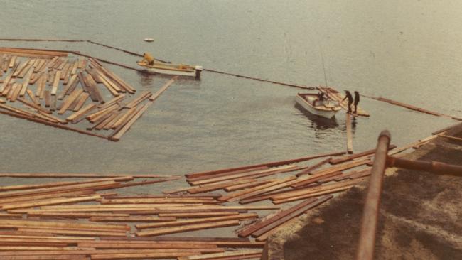 Timber from the Star Kerry near Little Manly Point. Courtesy Graham Todd