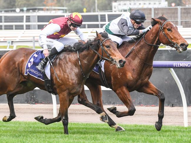 Stellar Olympus ridden by Ben Allen wins the Next Generation Sprinters Series Final at Flemington Racecourse on July 01, 2023 in Flemington, Australia. (Photo by Brett Holburt/Racing Photos via Getty Images)