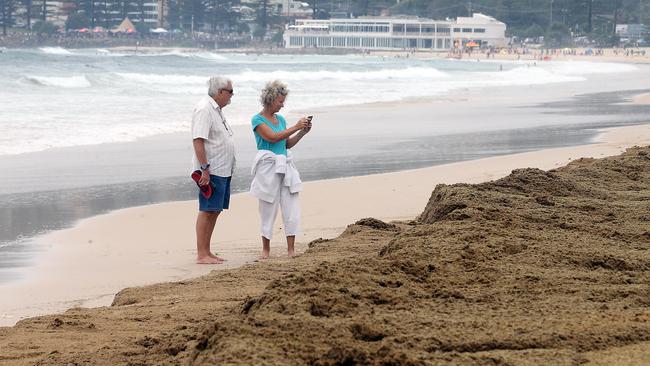 The seaweed at Burleigh Beach. 12th January 2020 Gold Coast. AAP Image/Richard Gosling