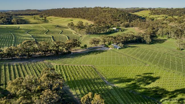 The Skillogalee vineyards. Picture: John Bowden