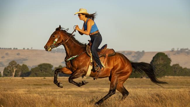 Cowgirl Tierney Jasper from Lancefield prepared for the January rodeos on the gorgeous Vega. Photographer Zoe Phillips would go on to win a Rural Press Club of Victoria award for the way this pic captured country life.