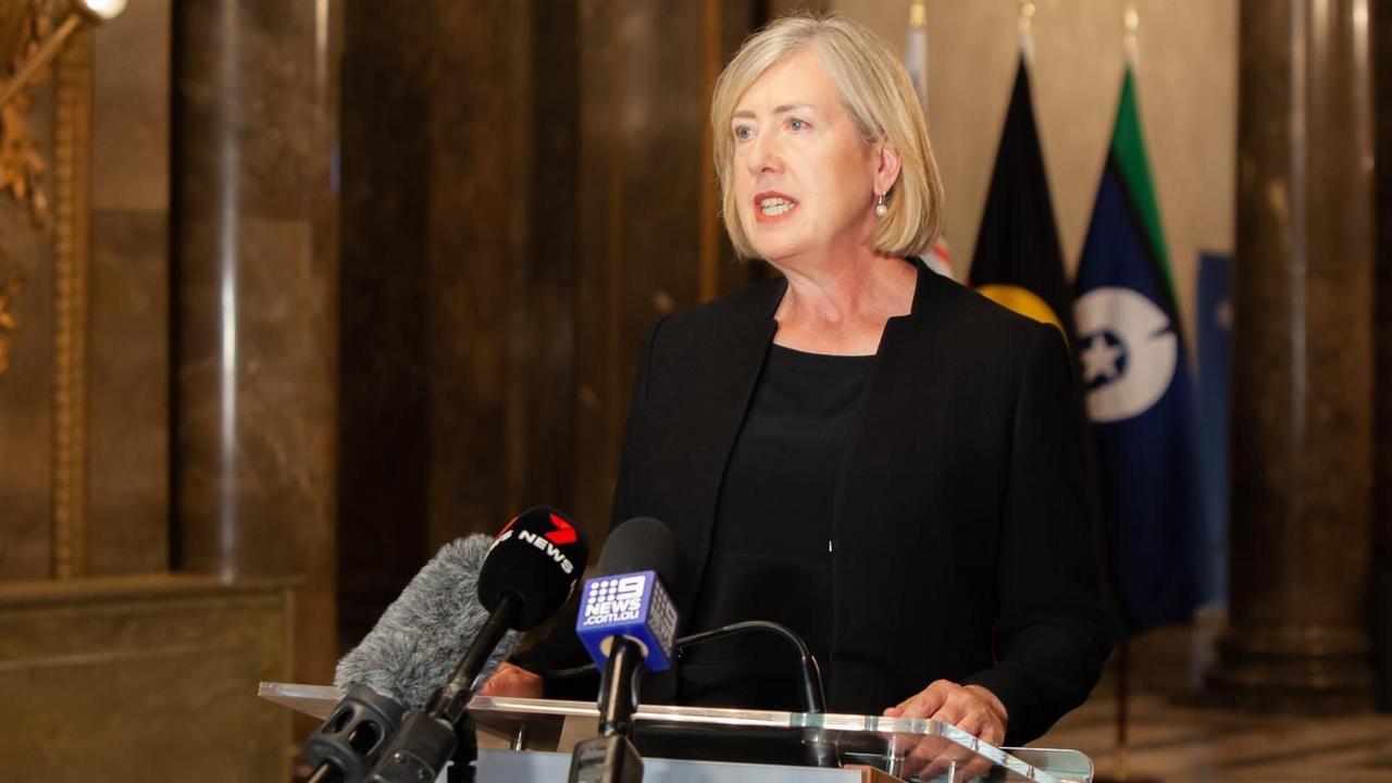 Australian Acting High Commissioner Lynette Wood speaking at Australia House about her audience with King Charles. Picture: Jenny Magee.