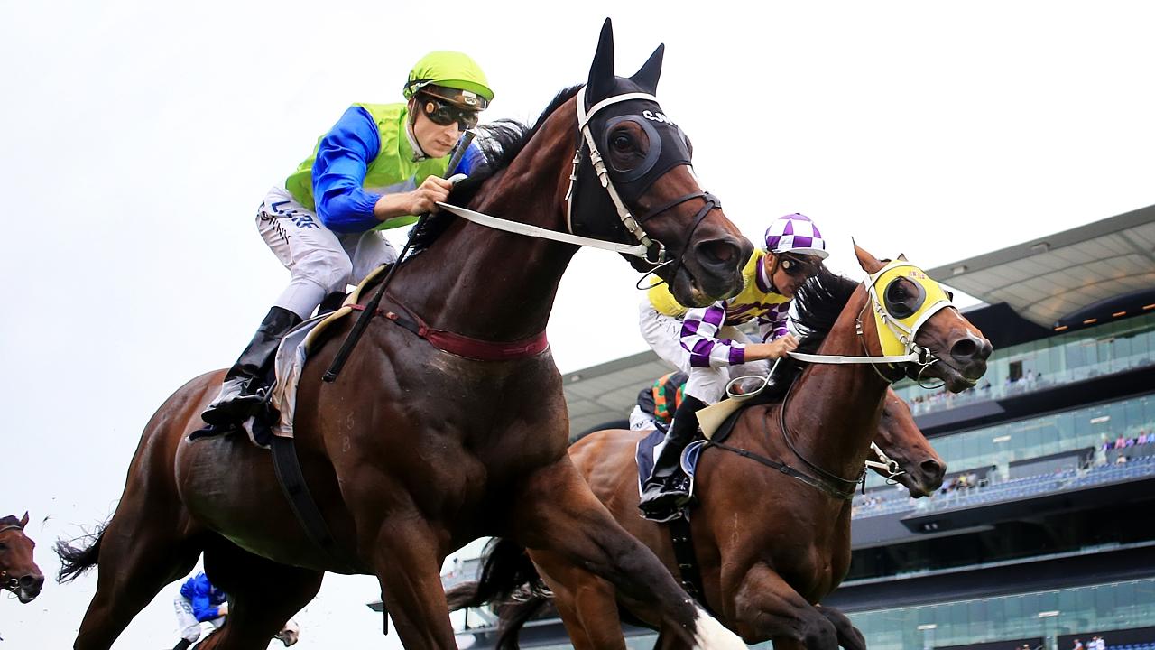 The Early Oil: Herald Sun Form Analyst Michael Manley Previews Saturday ...