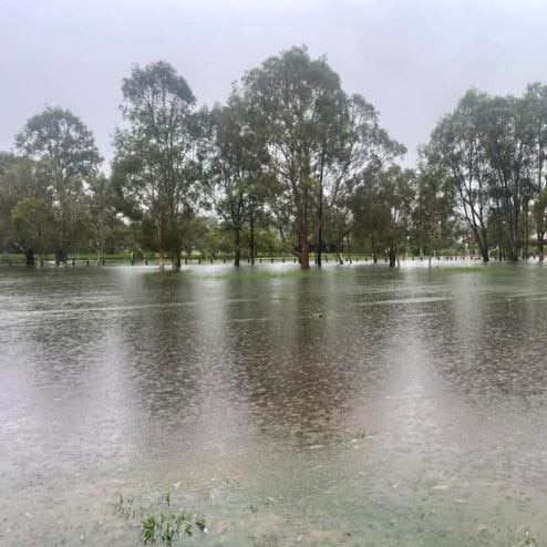 Ropley Road Park in Wynnum inundated during heavy rainfall on Saturday. Picture: Supplied