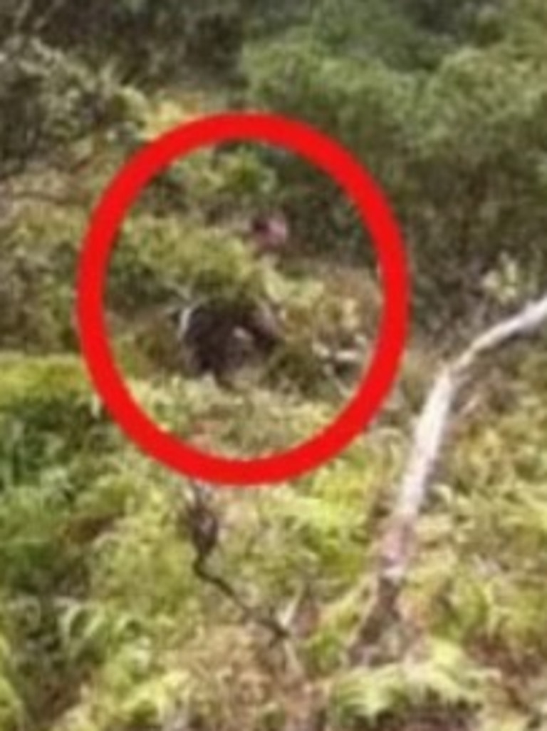 Shortly before he disappeared, he snapped a picture of a mysterious shadow man lurking in the bushes. Picture: Crime Stoppers Honolulu