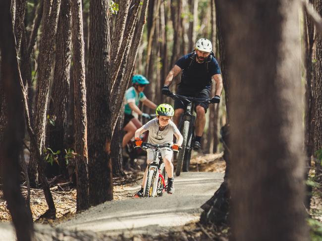 Get out and explore some mountain biking trails, like those in St Helens (pictured), during the school holidays. Picture: J. Da Seymour Photomedia