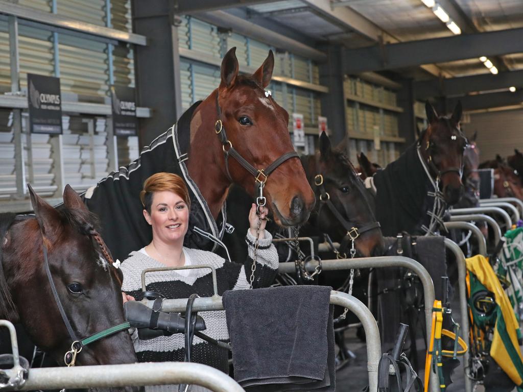 Emma Stewart and her partner Clayton Tonkin have been a dominant force in harness racing for many years.