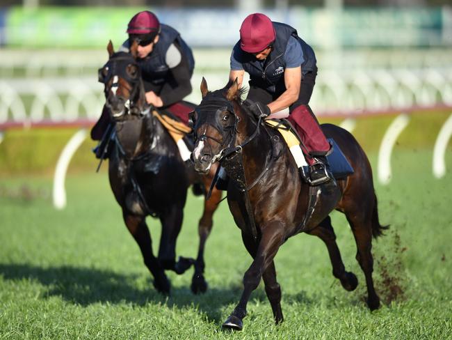 Irish horse US Navy Flag (right) will represent Coolmore in the $13 million TAB Everest at Royal Randwick this Saturday.