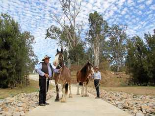 Craig Eastment and Sue Hudd recently established their tourism business, Heartland Heavy Horses along the Brisbane Valley Rail Trail. Picture: Contributed