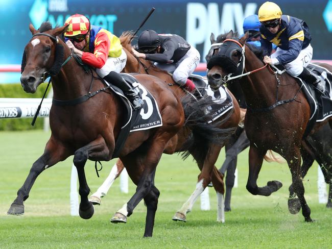 SYDNEY, AUSTRALIA - DECEMBER 10: Joshua Parr riding Torrens wins Race 4 The Max Brenner Christmas Cup during Sydney Racing at Royal Randwick Racecourse on December 10, 2022 in Sydney, Australia. (Photo by Jason McCawley/Getty Images)