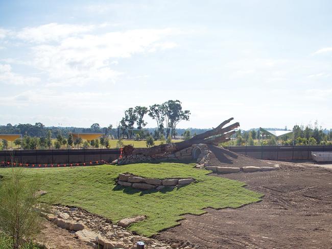 Construction is coming along on the zoo’s exhibits, including the cheetah enclosure. Picture: Facebook