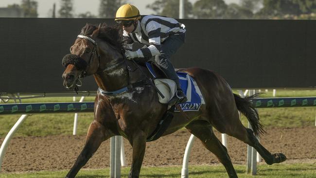 A return to racing on the Gold Coast grass track is a step closer after a successful morning of trials on Wednesday. Picture: Grant Peters/Trackside Photography