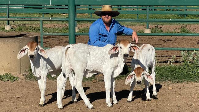 BJ said the chances of triplet calves like Milly, Molly and Mandy were about one in three million.