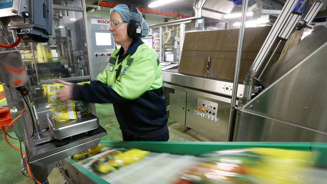 Simplot packing room team leader Theresa Hudson on the processing line at Quoiba. Picture: CHRIS KIDD