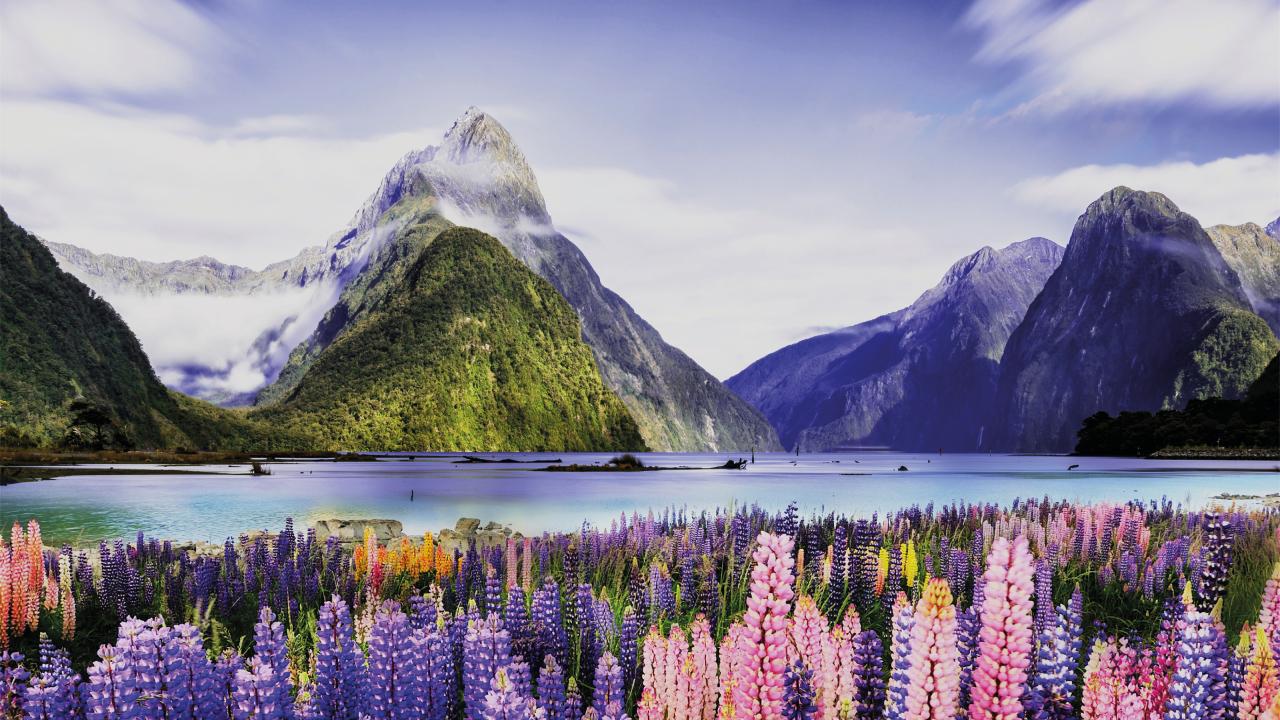 New Zealand Australia Trans Tasman Travel Bubble Escape Com Au