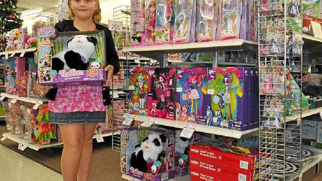 Wish 2024 shopping toys