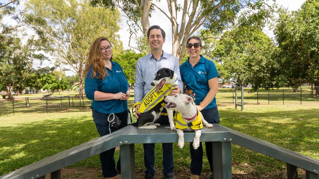 Bark in the Park - The Observer