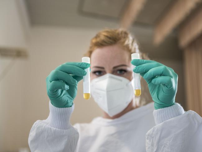 A medical worker with plasma of blood sample. Picture: Getty