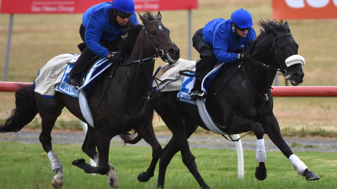 MELBOURNE, AUSTRALIA - OCTOBER 27: Craig Williams riding Cavalryman (r) gallops with Willing Foe during a trackwork session at Werribee Racecourse on October 27, 2014 in Melbourne, Australia. (Photo by Vince Caligiuri/Getty Images)