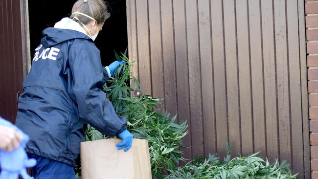 Craig Wells was sentenced to four years and five months in prison by Melbourne County Court on Wednesday for cultivating a commercial quantity of cannabis in his family’s Kangaroo Flat property. Photo Jeremy Piper