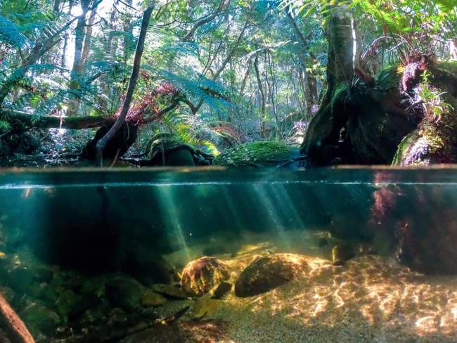 Kathy Brown with this great photo taken in the Coffs Coast hinterland. Coffs cover image.