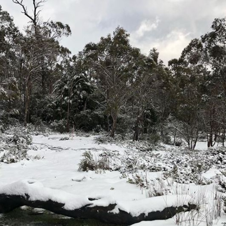 Snow in Cradle Mountain. Picture: @talana.cook