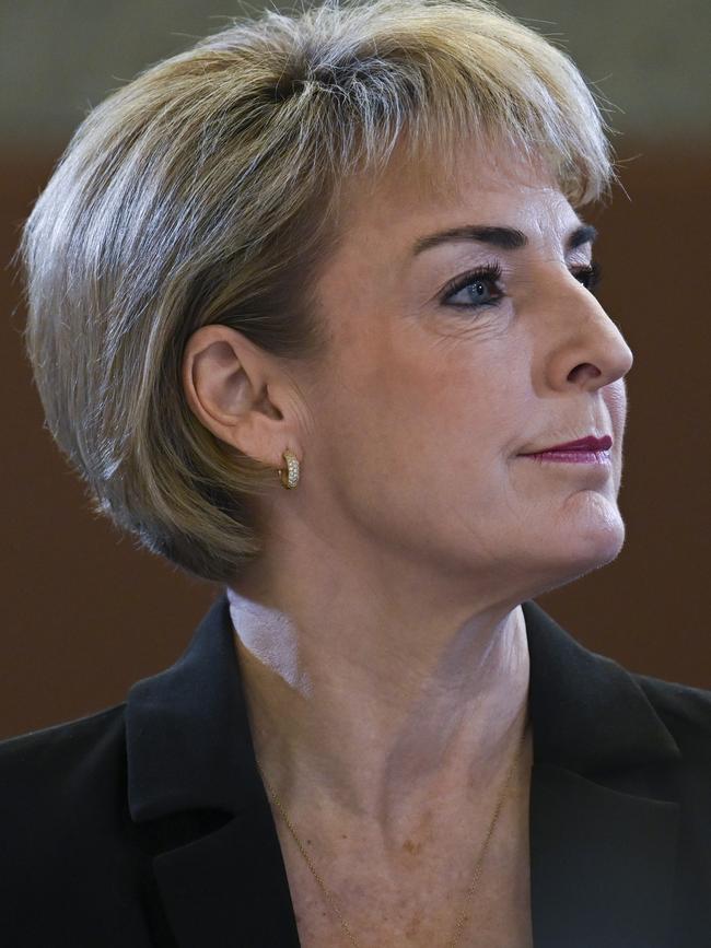 Senator Michaelia Cash. Picture: NCA NewsWire/Martin Ollman