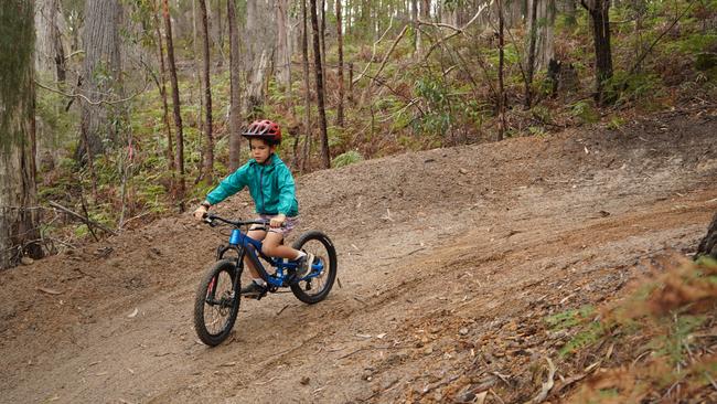 The great thing about this MTB trail is it’s built more for beginners and families than hardcore adrenaline junkies. Picture: Catherine Best.