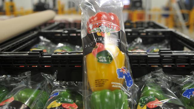 Traffic lights: Flavorite capsicum packs ready for dispatch.