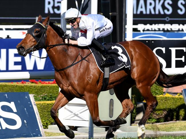 Deploy is expected to set a fierce speed in Saturday’s Everest. Picture: AAP