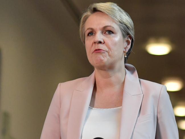 Opposition women’s spokeswoman Tanya Plibersek at Parliament House today. Picture: Sam Mooy/Getty Images