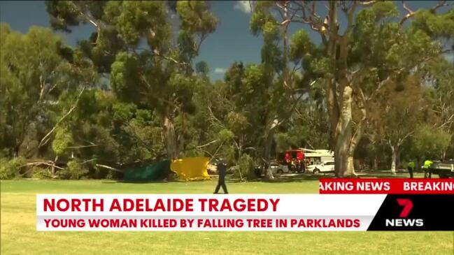 Woman killed by falling tree at Adelaide Uni oval (7NEWS)
