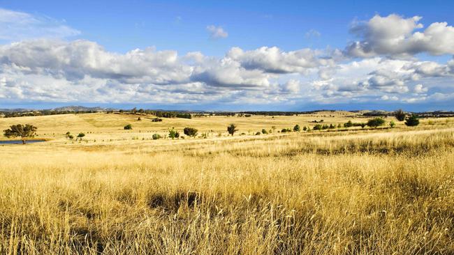 Grass landscapes could become the next big cities.