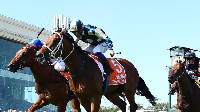 Tagaloa took out the Blue Diamond Stakes at Caulfied. Picture: Kelly Defina/Getty Images